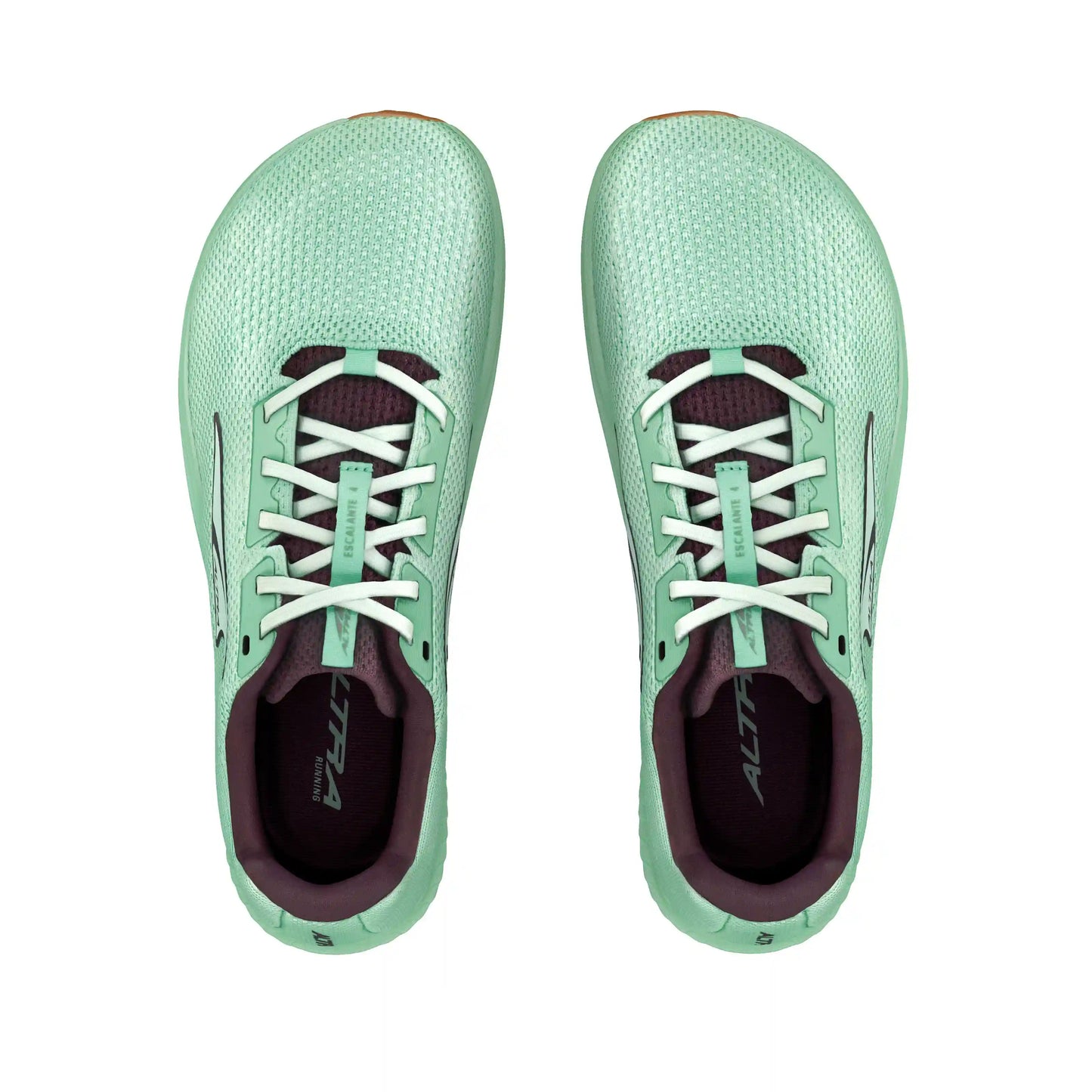 Women's Escalante 4