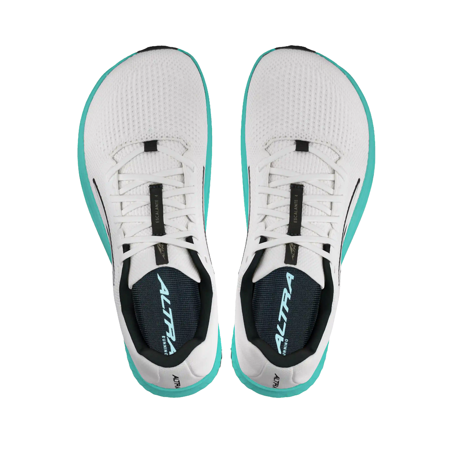 Women's Escalante 4