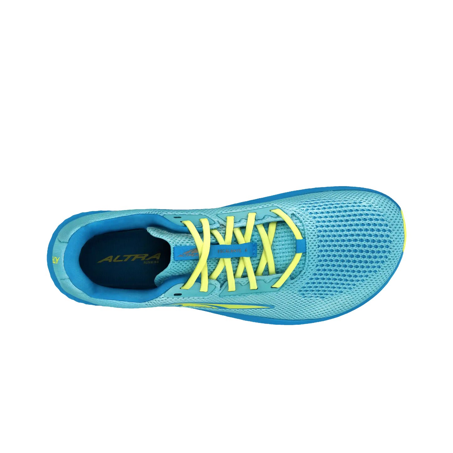 Women's Escalante 4