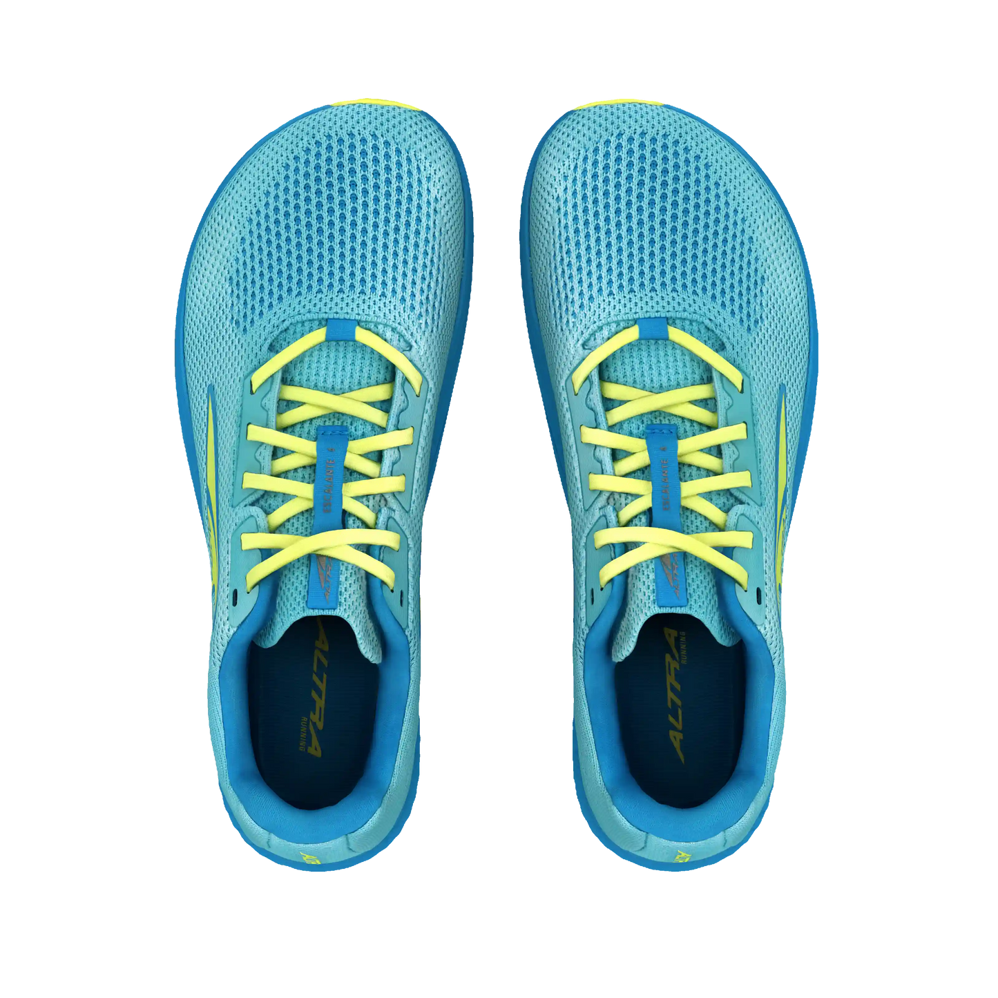 Women's Escalante 4