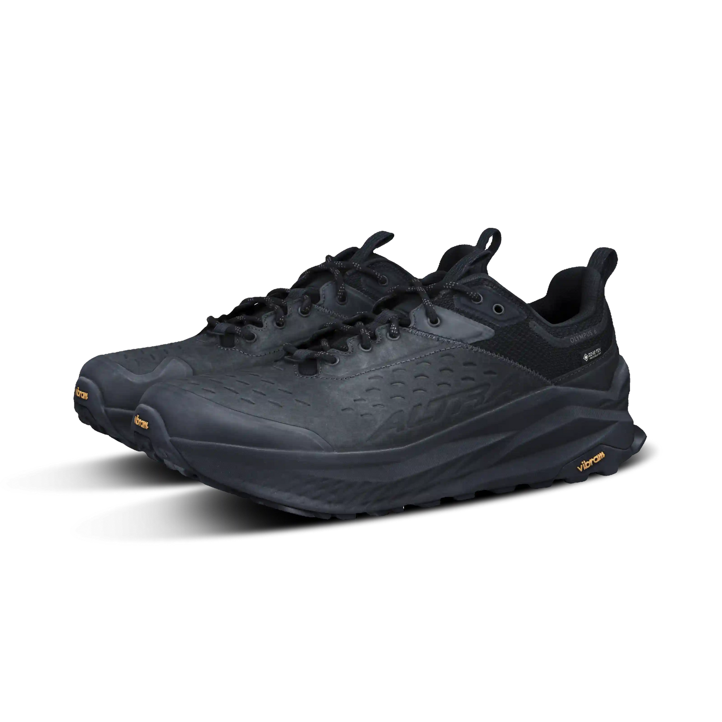 Men's Olympus 6 Hike Low GTX