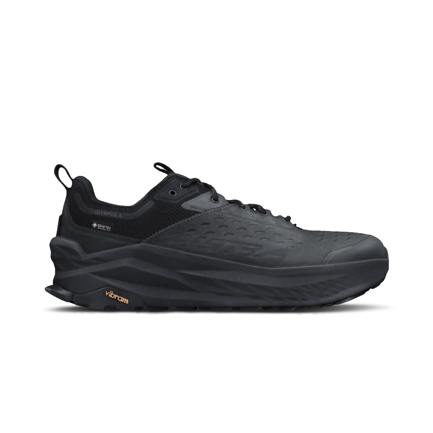 Men's Olympus 6 Hike Low GTX